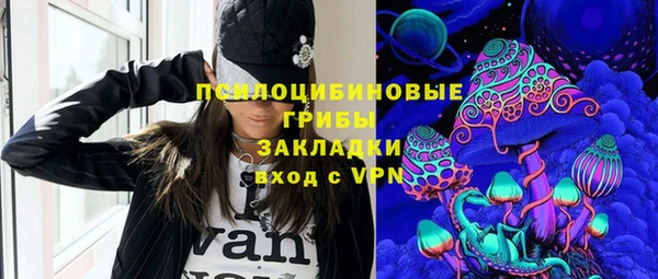 ГАЛЛЮЦИНОГЕННЫЕ ГРИБЫ Бронницы