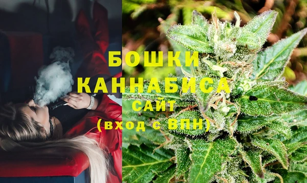 ГАЛЛЮЦИНОГЕННЫЕ ГРИБЫ Бронницы