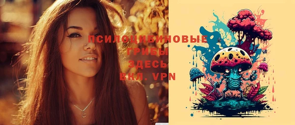ГАЛЛЮЦИНОГЕННЫЕ ГРИБЫ Бронницы