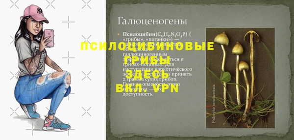 первитин Бородино